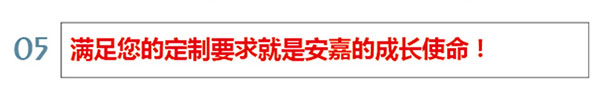 安嘉使命